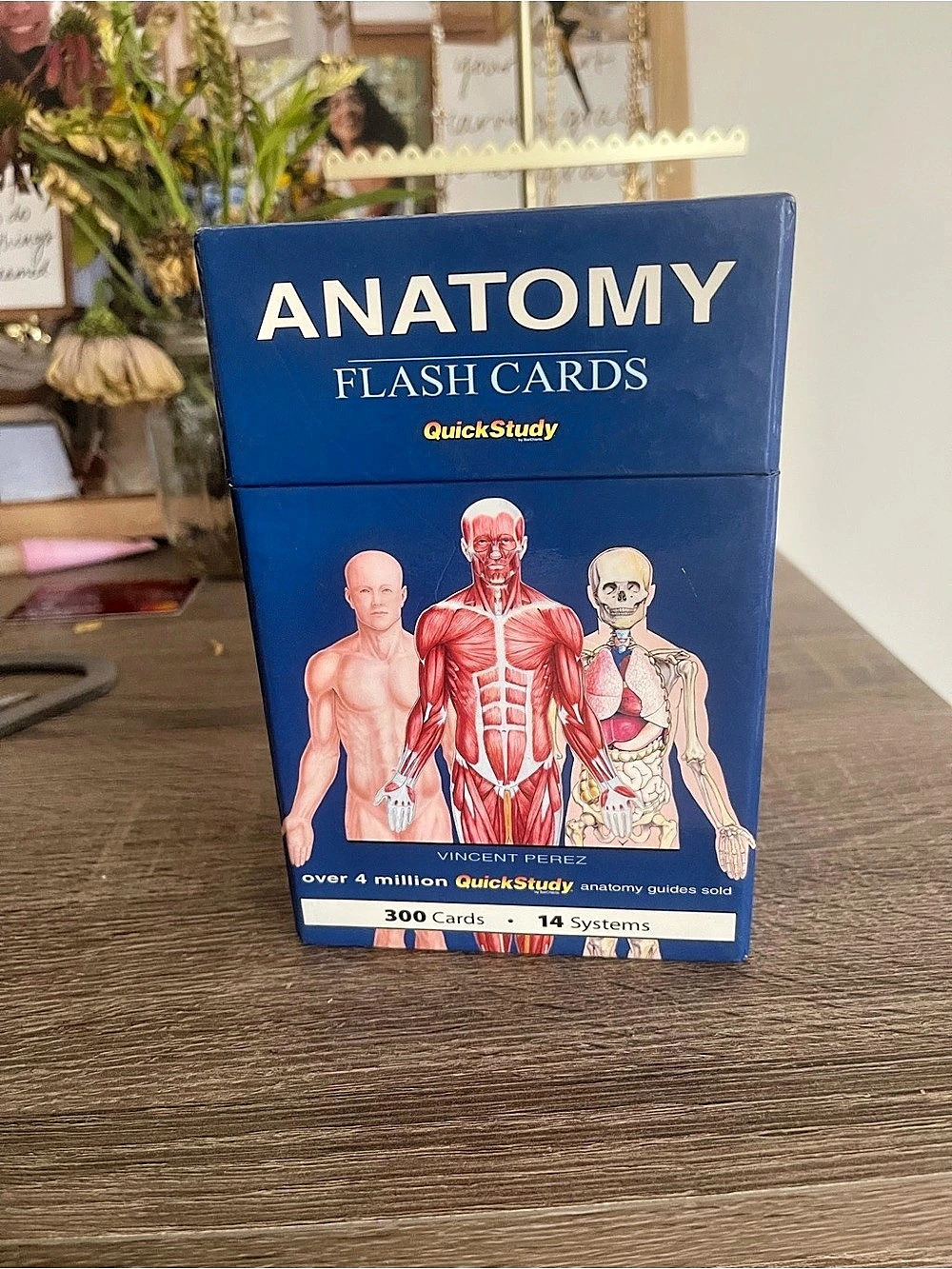 QuickStudy Anatomy Flash Cards 300 Cards 14 Systems